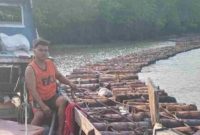Aktivitas pengiriman tual sagu, sebagai bahan baku pembuatan prodoksi sagu yang sudah berkurang seiring waktu | Foto: Istimewa