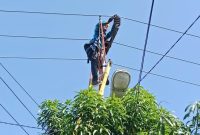 Petugas PLN ULP Karimun saat melakukan perbaikan jaringan listrik | Foto: Nichita