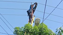 Petugas PLN ULP Karimun saat melakukan perbaikan jaringan listrik | Foto: Nichita