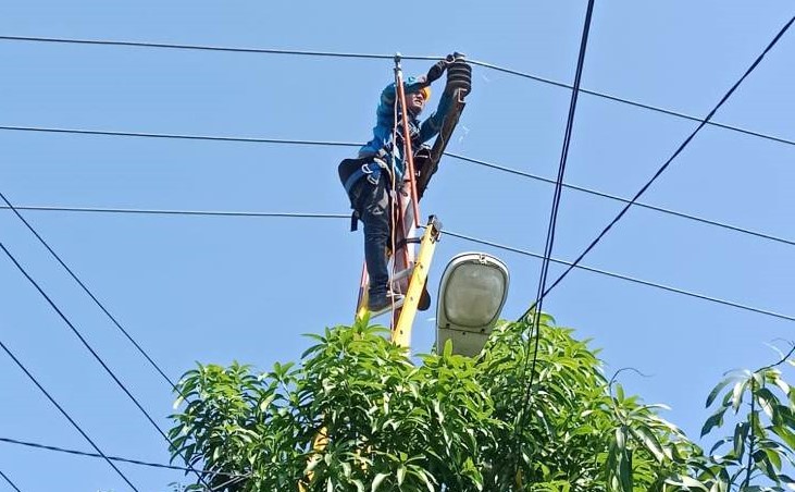 Petugas PLN ULP Karimun saat melakukan perbaikan jaringan listrik | Foto: Nichita