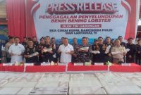 Upaya penyelundupan 237.305 ekor benih lobster berhasil digagalkan tim gabungan DJBC Khusus Kepri, Bareskrim Polri dan Lantamal IV | Foto: Nichita