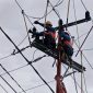 Petugas PLN ULP Karimun saat memperbaiki jaringan listrik beberapa waktu lalu | Foto: Nichita