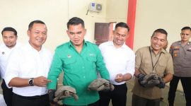 10 Ekor Kura-kura, satwa dilindungi akan diselundupkan ke Negara Singapura dan Malaysia melalui J&T Cargo di Batam | Foto: Dian