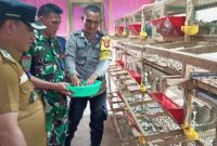Bhabinkamtibmas Desa Tanjung Harapan, Bripka Doni Firmansyah saat ikut memanen Burung Puyuh | Foto: Wandy