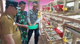 Bhabinkamtibmas Desa Tanjung Harapan, Bripka Doni Firmansyah saat ikut memanen Burung Puyuh | Foto: Wandy