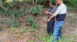 TKP hilangnya 35 ekor ayam peliharaan warga Desa Tanjung Harapan | Foto: Wandy