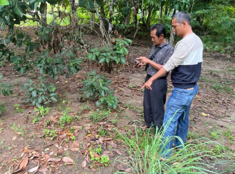 TKP hilangnya 35 ekor ayam peliharaan warga Desa Tanjung Harapan | Foto: Wandy