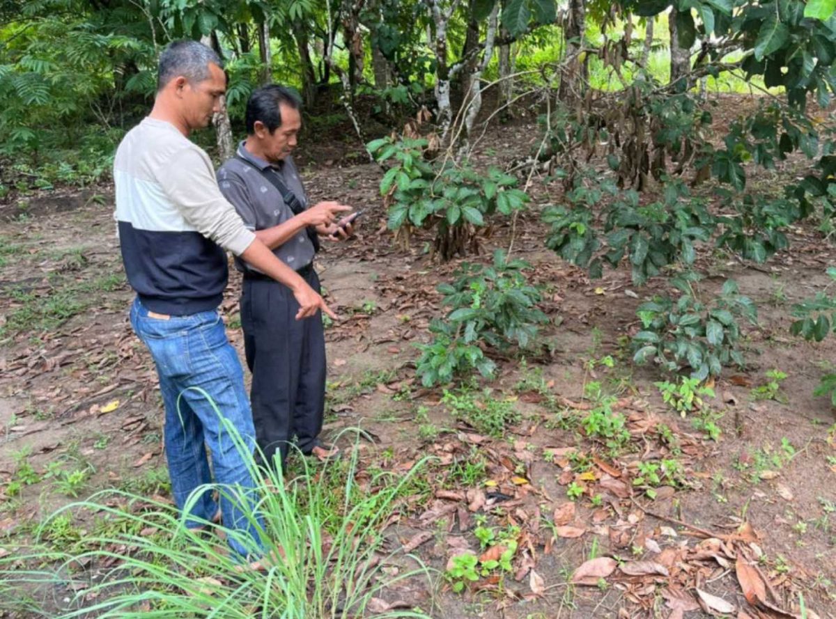 TKP hilangnya 35 ekor ayam peliharaan warga Desa Tanjung Harapan | Foto: Wandy