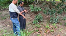 TKP hilangnya 35 ekor ayam peliharaan warga Desa Tanjung Harapan | Foto: Wandy