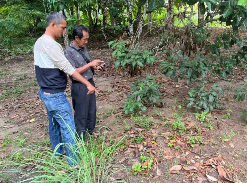 TKP hilangnya 35 ekor ayam peliharaan warga Desa Tanjung Harapan | Foto: Wandy