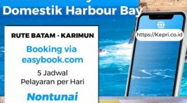 Flyer e-ticketing | Foto: kepri.co.id
