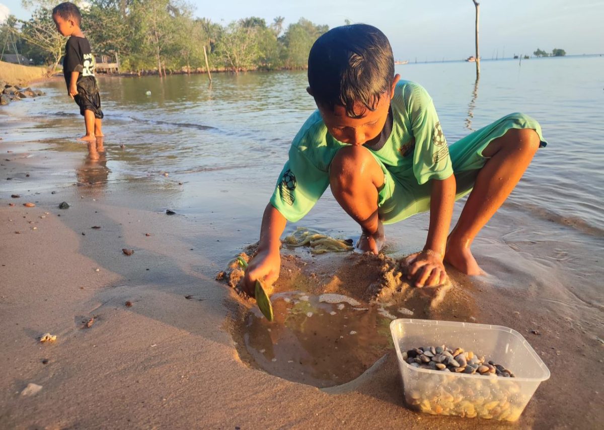 Potret anak laki-laki bernama M. Qadaffa saat mencari remis di pantai (Foto : Zonamu/Imam)