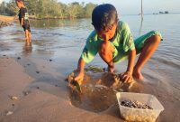 Potret anak laki-laki bernama M. Qadaffa saat mencari remis di pantai (Foto : Zonamu/Imam)