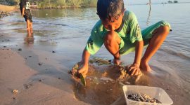 Potret anak laki-laki bernama M. Qadaffa saat mencari remis di pantai (Foto : Zonamu/Imam)