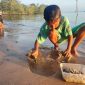 Potret anak laki-laki bernama M. Qadaffa saat mencari remis di pantai (Foto : Zonamu/Imam)