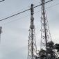 Tower telkomsel di wilayah Dabo singkep (Foto : Zonamu/Wandi)
