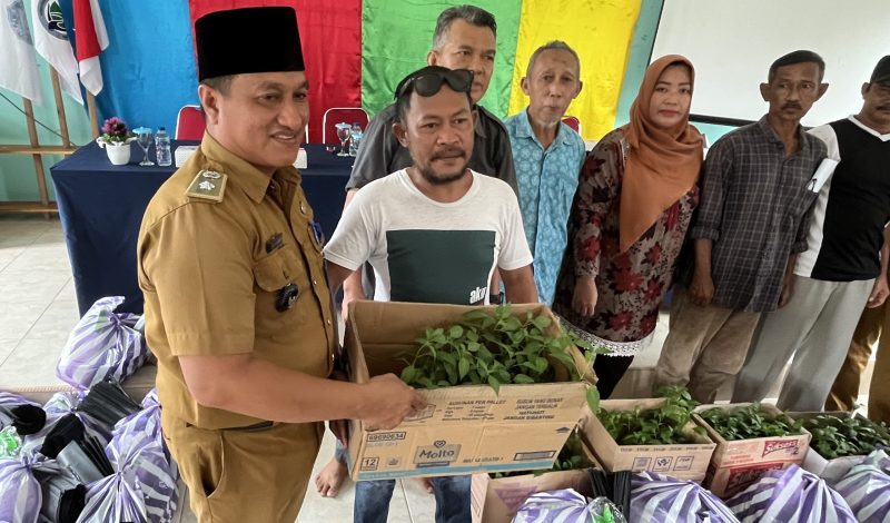 Kades Tanjung Harapam saat membagikan bibit cabe secara simbolis (Foto : Zonamu/Wandi)