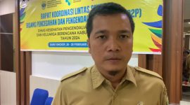 Kabid Pencegahan dan Pengendalian Penyakit Dinas Kesehatan Lingga, Wirawan Trisna Putra (Foto : Zonamu/Wandi)