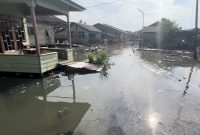 Banjir Rob yang terjadi di Kelurahan Dabo Lama (Foto : Zonamu/Wandi)