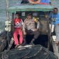 Kapolsek Singbar saat ikut melakukan pencarian orang hilang (Foto : Zonamu/Juki)