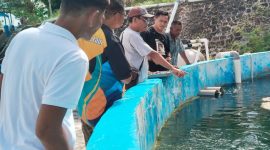 Pokdakan Tuah Bersatu menerima pelatihan pemeliharaan dan pemijahan ikan oleh PT Timah Tbk yang berkolaborasi dengan BPBPL Batam | Foto: Zonamu/Humas PT Timah