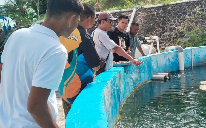 Pokdakan Tuah Bersatu menerima pelatihan pemeliharaan dan pemijahan ikan oleh PT Timah Tbk yang berkolaborasi dengan BPBPL Batam | Foto: Zonamu/Humas PT Timah