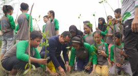 PT Timah bersama pelajar dan kelompok masyarakat tanam 3000 Bibit Mangrove di Pantai Takari, Kabupaten Bangka | Foto: Zonamu/Humas PT Timah
