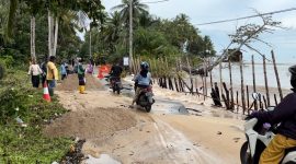 Potert ketika warga hendak melintas di jalan yang rusak akibat abrasi pantai (Foto : Zonamu/Wandi)