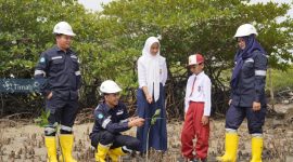 Program penanaman pohon sebagai wujud komitmen PT Timah dalam mendukung kelestarian lingkungan | Foto: Zonamu/Humas PT Timah