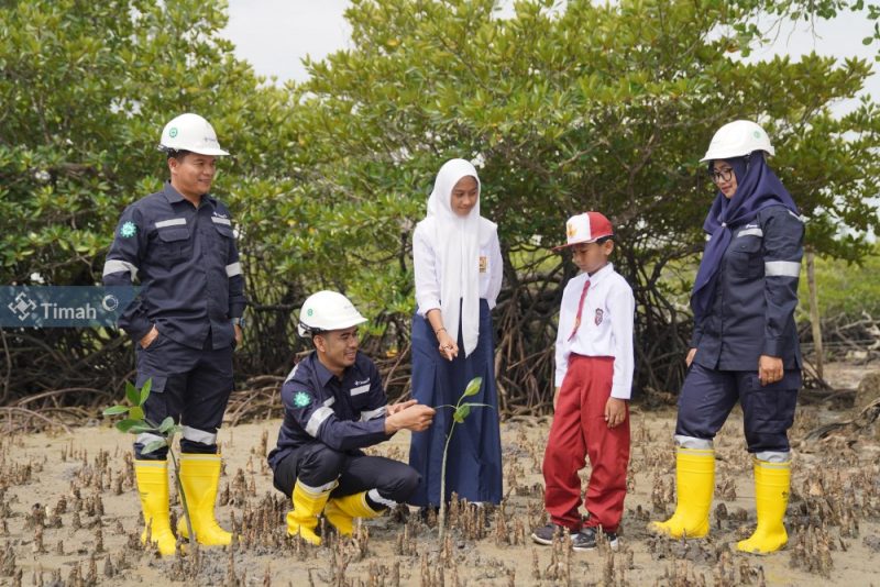 Program penanaman pohon sebagai wujud komitmen PT Timah dalam mendukung kelestarian lingkungan | Foto: Zonamu/Humas PT Timah