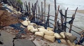 Abrasi Ancam Jalan Desa Batu Berdaun Menuju Kebun Nyiur (Foto : Zonamu/Paino)