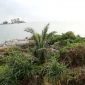 Potret Pulau Berhala Di Kecamatan Singkep Selatan (Foto : Zonamu/Paino)