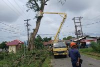 PT Timah tebang pohon berisiko bersama PLN, untuk mencegah kecelakaan | Foto: Zonamu/Humas PT Timah