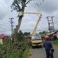 PT Timah tebang pohon berisiko bersama PLN, untuk mencegah kecelakaan | Foto: Zonamu/Humas PT Timah