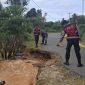 Personil Polres Lingga beberapa waktu lalu saat melakukan police line di jalan raya yang terkikis akibat abrasi pantai (Foto : Zonamu/Ist)
