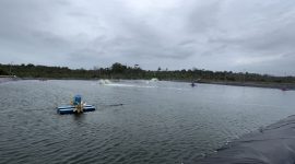 Tambak Udang Vaname di Desa Tinjul (Foto : Zonamu/Wandi)