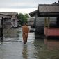 Lurah Dabo Lama Harie Kurniawan saat memantau banjir di RW 09, (Foto : Zonamu/Harie)