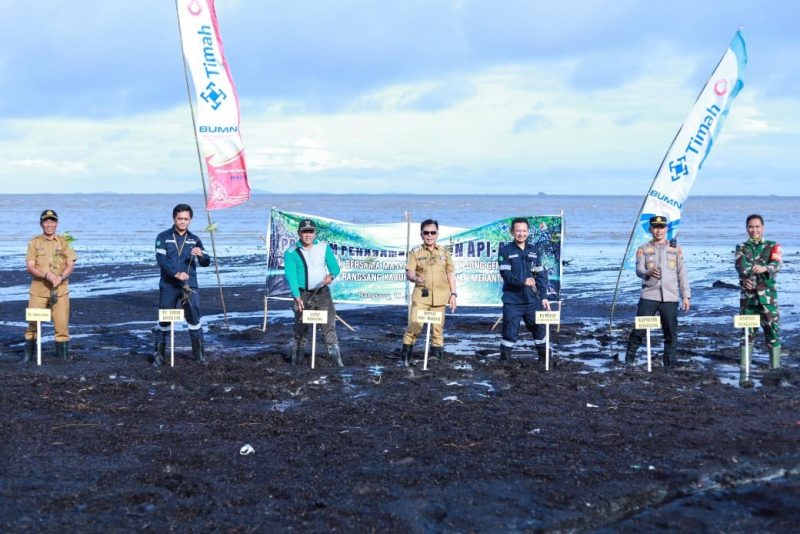 PT Timah Tbk tanam mangrove di Pantai Sesai Party Beach, Desa Tanjung Gemuk, Kecamatan Rangsang, Kabupaten Kepulauan Meranti | Foto: Zonamu/Humas PT Timah