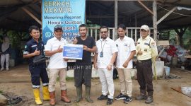 PT Timah berikan bantuan pengembangan kandang ternak Kambing ke Kelompok Tani Berkah Makmur, Desa Sekar Biru, Parit Tiga | Foto: Zonamu/Humas PT Timah