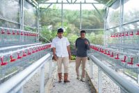 PT Timah berikan bantuan modal usaha pengembangan budidaya ayam petelur kepada Kelompok Tani Sumber Rezeki, Dusun Perumnas, Kabupaten Bangka Barat | Foto: Zonamu/Humas PT Timah