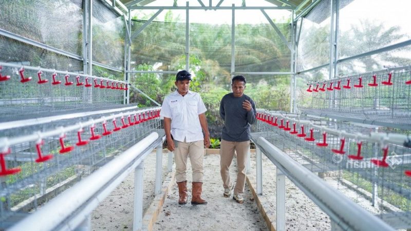 PT Timah berikan bantuan modal usaha pengembangan budidaya ayam petelur kepada Kelompok Tani Sumber Rezeki, Dusun Perumnas, Kabupaten Bangka Barat | Foto: Zonamu/Humas PT Timah