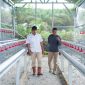 PT Timah berikan bantuan modal usaha pengembangan budidaya ayam petelur kepada Kelompok Tani Sumber Rezeki, Dusun Perumnas, Kabupaten Bangka Barat | Foto: Zonamu/Humas PT Timah
