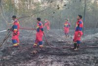 Kebakaran Lahan Di Singkep Barat, (Foto : Zonamu/Ist)