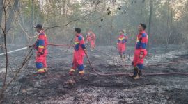 Kebakaran Lahan Di Singkep Barat, (Foto : Zonamu/Ist)