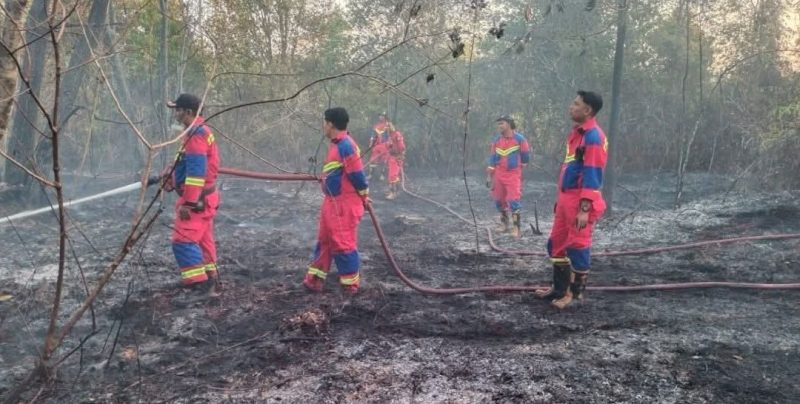 Kebakaran Lahan Di Singkep Barat, (Foto : Zonamu/Ist)