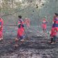 Kebakaran Lahan Di Singkep Barat, (Foto : Zonamu/Ist)