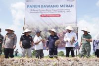 PT Timah bersama kelompok tani “Bina Tani Belitung Timur” menggelar Panen Raya Bawang Merah di Dusun Gangse Desa Gantung Belitung Timur | Foto: Zonamu/Humas PT Timah
