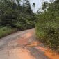Potret Kondisi Jalan Provinsi yang rusak di Kabupaten Lingga (Foto : Zonamu/Wandi)