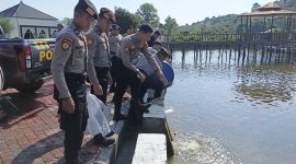 Personil Polres Lingga saat melakukan penebaran benih ikan nila (Foto : Zonamu/Wandi)