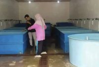 Potrer Balai Benih Ikan di Desa Kote | Foto : Zonamu/David